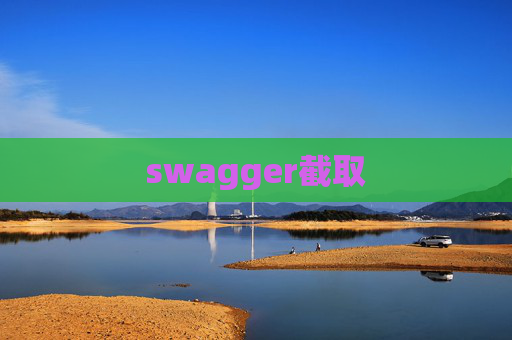 swagger截取